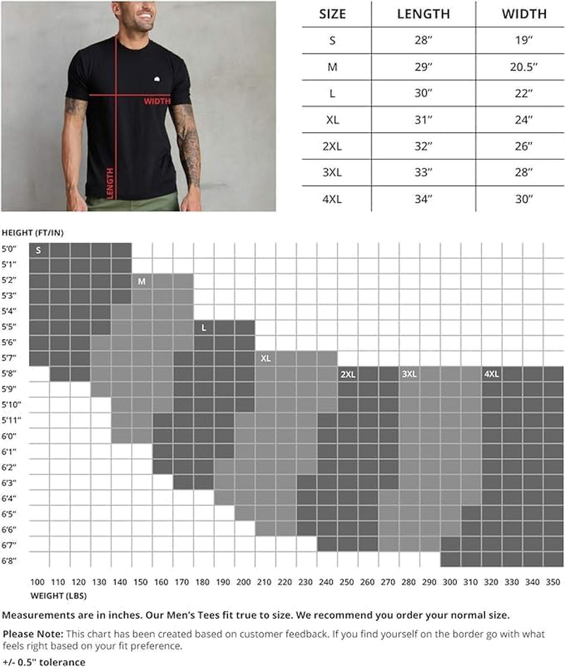 Elevate Your Wardrobe with INTO the AM Men's Soft Fitted T-Shirt Packs - Classic Short Sleeve Crew Neck Tees in Sizes S - 4XL